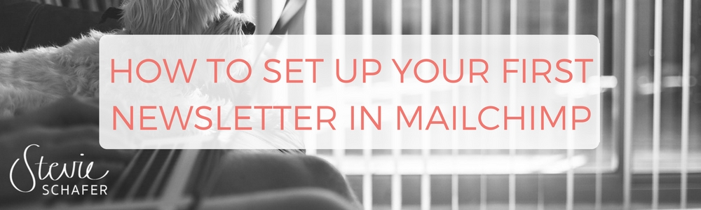 How to set up your first newsletter in MailChimp